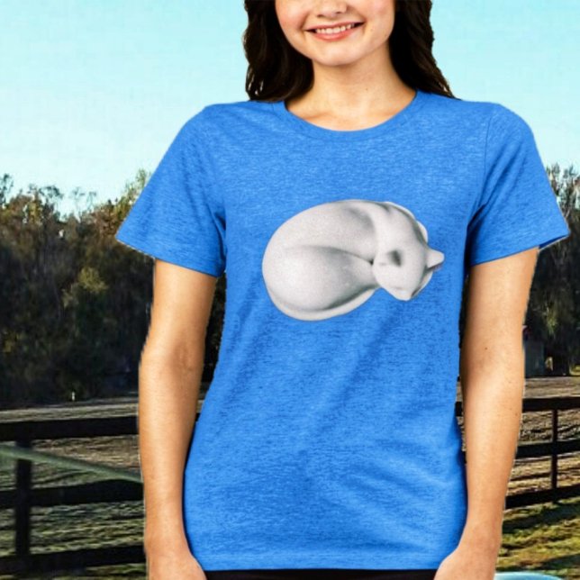 Katt i Repose 3 T-Shirt (This t-shirt could very well, become your favorite!)
