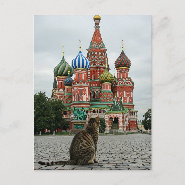 Katt i Ryssland, Moskva Travel Vykort (Framsida)
