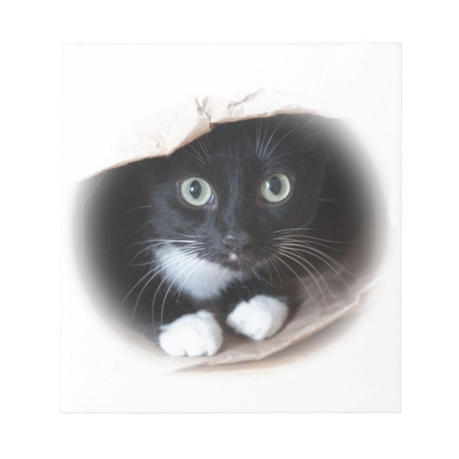Katt i säck anteckningsblock (Framsida)