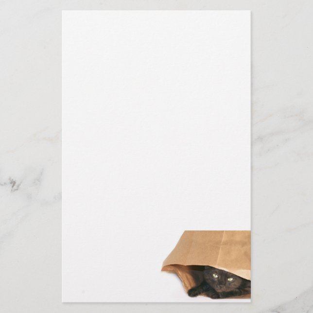 Katt i säck brevpapper (Framsida)