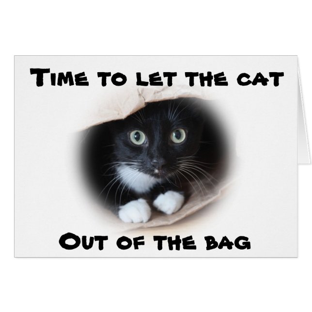 Katt i säck hälsningskort (Framsidan Horizontal)