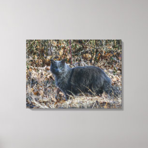 Katt i Skogen Canvastryck