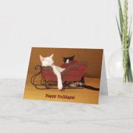 Katt i Sled Humor-julkort Helgkort