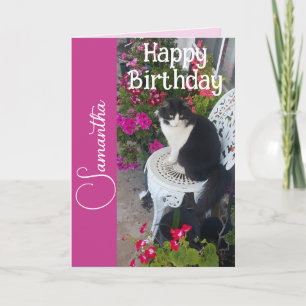 Katt i smoking Katter och blommor Flicknamn Namnsd Kort