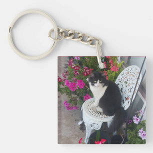 Katt i Smoking Söt med Vackra Blommor Svarta Katte