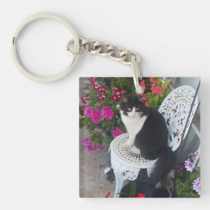 Katt i Smoking Söt med Vackra Blommor Svarta Katte