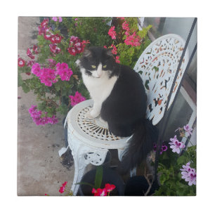 Katt i Smoking Söt med Vackra Blommor Svarta Katte Kakelplatta
