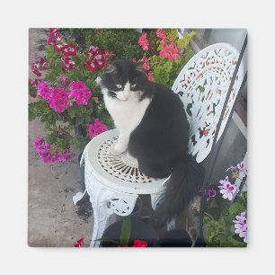 Katt i Smoking Söt med Vackra Blommor Svarta Katte Magnet