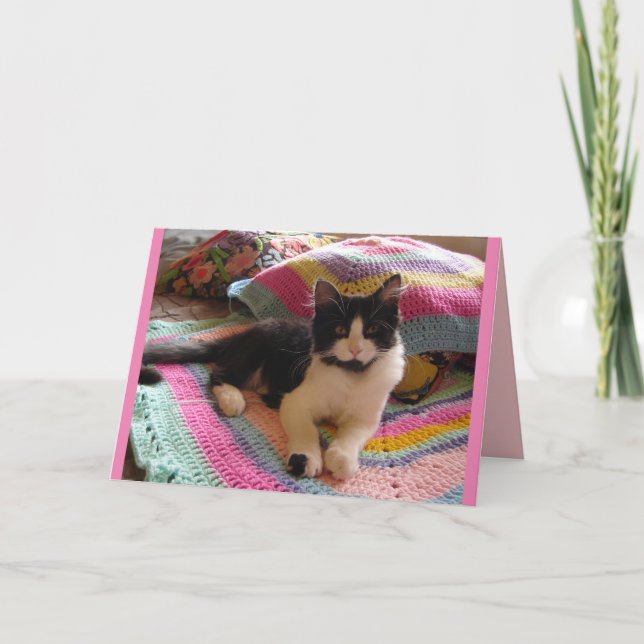 Katt i smoking Söt sovande på virkad matta katter  Kort (Framsida)