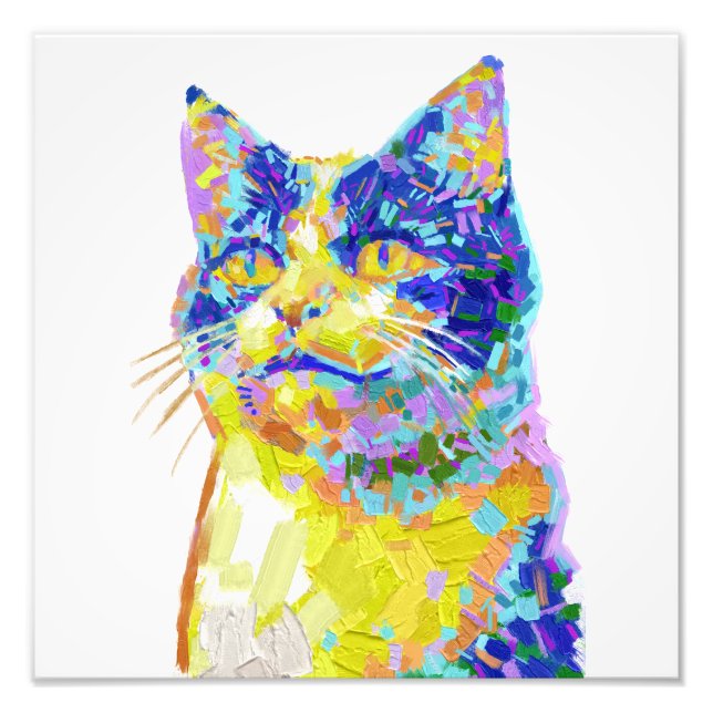 Katt i solljus fototryck (Framsidan)