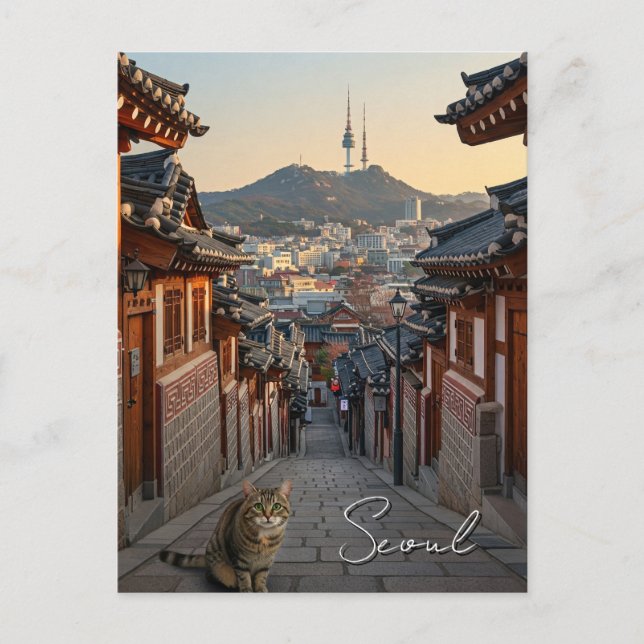 Katt i Söul Bukchon Sydkorea Vykort (Framsida)