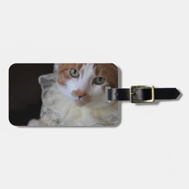 Katt i spetsigt halsband bagagebricka (Horisontell Framsida)