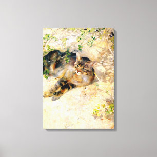 Katt i Sunshine, Bruno Liljefors Canvastryck