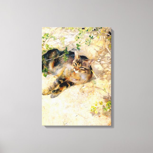 Katt i Sunshine, Bruno Liljefors Canvastryck (Framsida)
