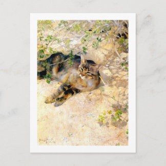 Katt i Sunshine, Bruno Liljefors Vykort