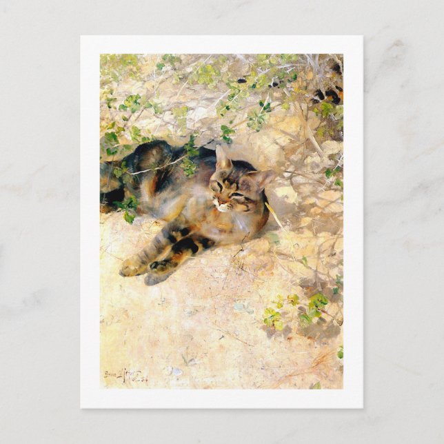 Katt i Sunshine, Bruno Liljefors Vykort (Framsida)