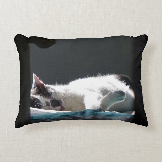 Katt i Sunspot- område, ej sönderfallande Prydnadskudde (Framsidan)