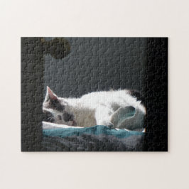 Katt i Sunspot- område, ej sönderfallande Pussel