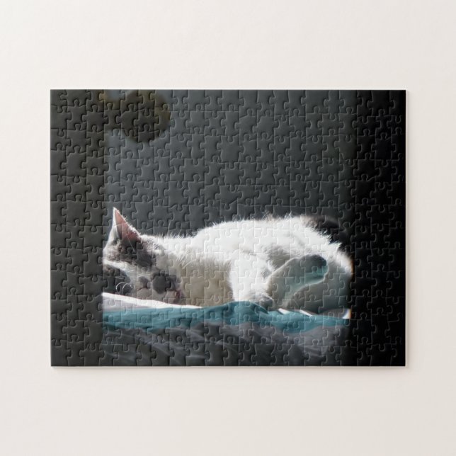 Katt i Sunspot- område, ej sönderfallande Pussel (Horisontell)