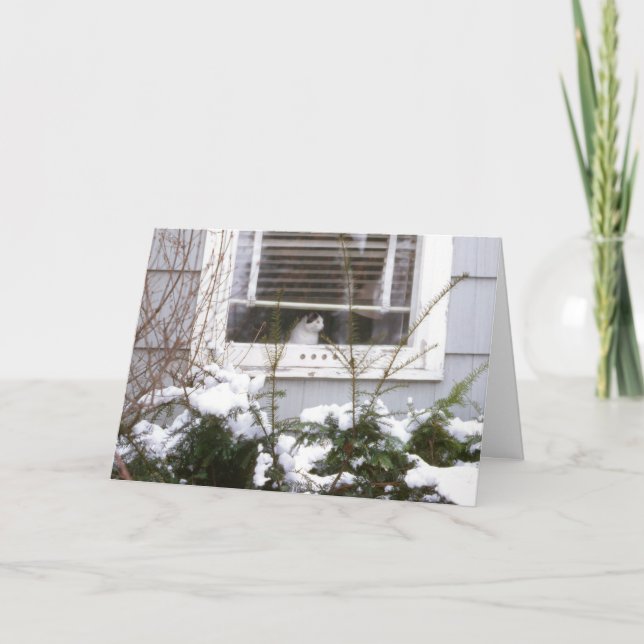Katt i svart & vit för fönsterjulsöt helgkort (Framsida)