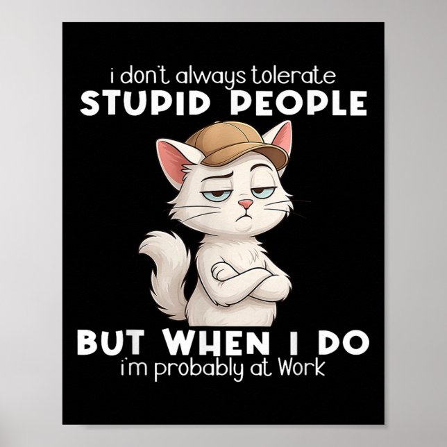 Katt I tolererar inte alltid styva personer Poster (Framsidan)