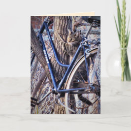 Katt i träd med cykel söta roliga katter kort