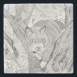 Katt i Träd Stenunderlägg<br><div class="desc">Katt i träd</div>