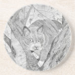 Katt i Träd Underlägg<br><div class="desc">Katt i träd</div>