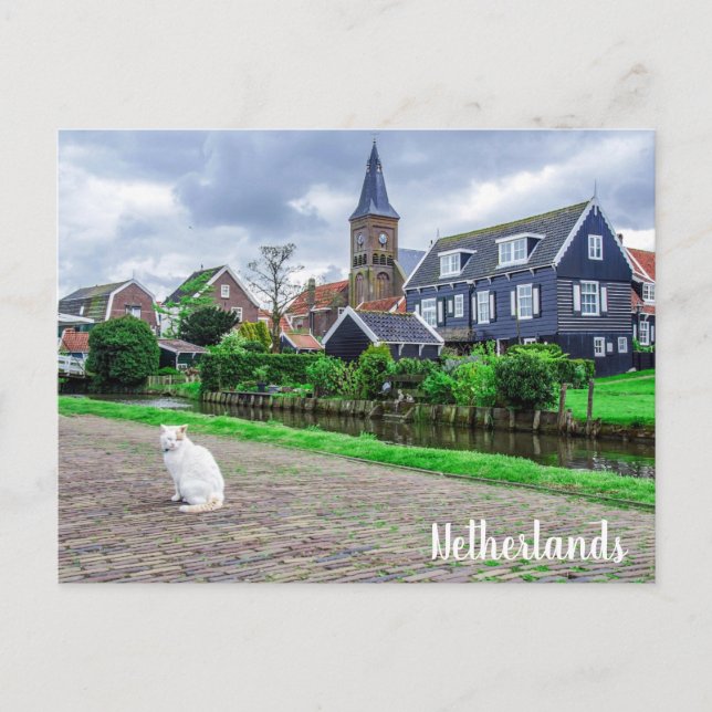 Katt i traditionella fiskesamhällen vykort (Framsida)