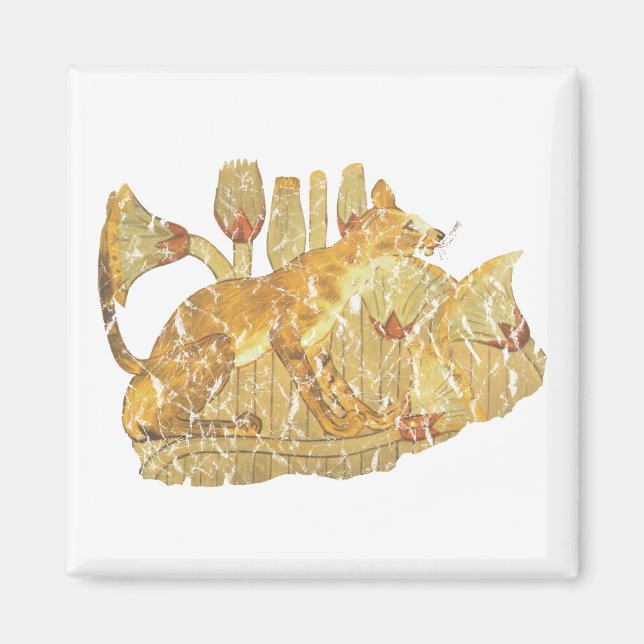 katt i träsk magnet (Framsidan)