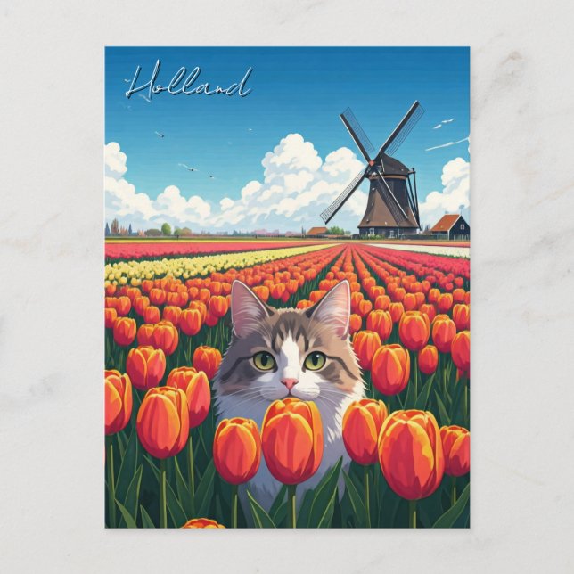 Katt i Tulip Fält Holland Nederländerna Vykort (Framsida)