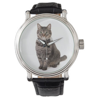 Katt i Tuxedo Armbandsur