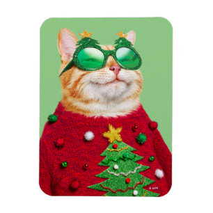 Katt i uggla magnet