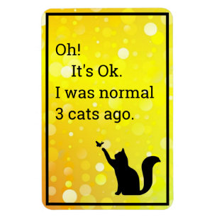 katt I var normal Magnet