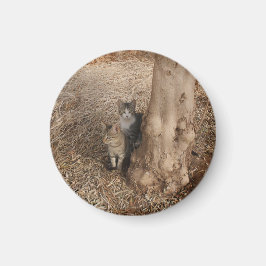 KATT I WOODLAND MAGNET