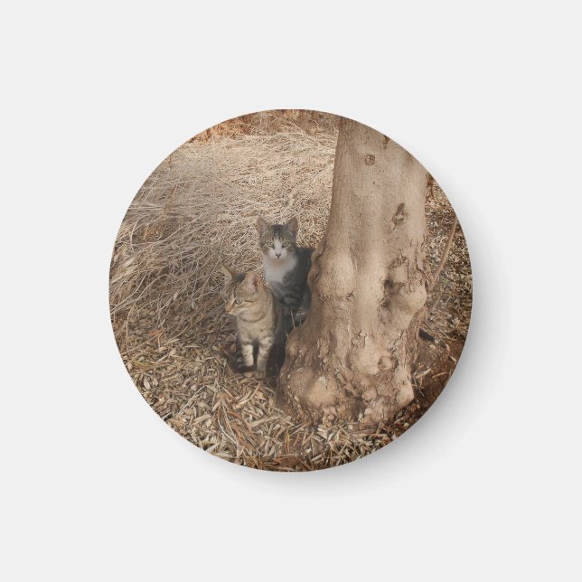 KATT I WOODLAND MAGNET (Framsidan)