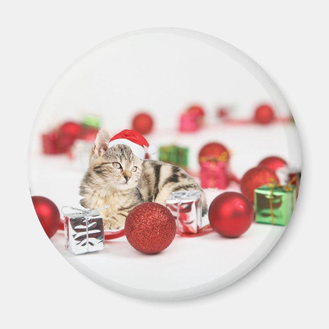 Katt iklädd röd tomteluva julgransprydnad magnet (Framsidan)