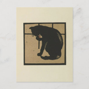 Katt - Illustration av kvadratiska djur Vykort