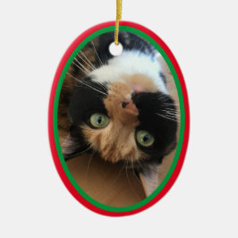 Katt In Memoriam Julhelg Röd Grön Julgransprydnad Keramik