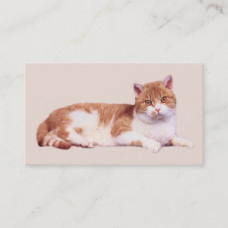 Katt inget Purrfect visitkort