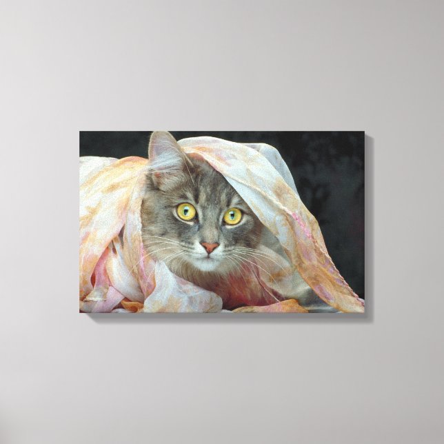 Katt inslaget i trasa canvastryck (Framsida)