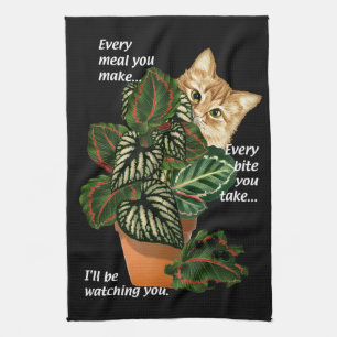 Katt jag kommer att titta på er Sång parody Pote Kökshandduk