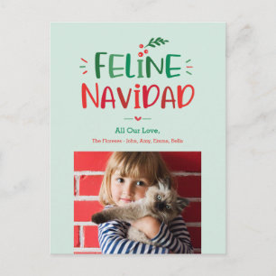 Katt Jul Djur Jul Holiday Julkort Helg Vykort