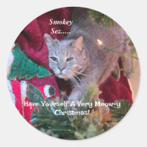 Katt jul klistermärke