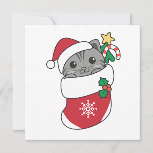 Katt Jul Snö Vinterdjur Katt Helgdag Julkort
