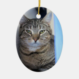 Katt Julgransprydnad Keramik