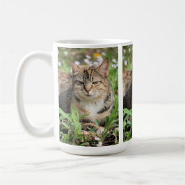 Katt Kaffemugg