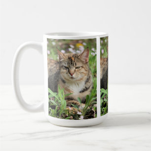Katt Kaffemugg