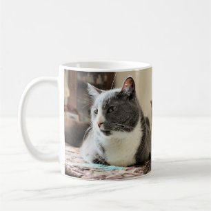 Katt Kaffemugg