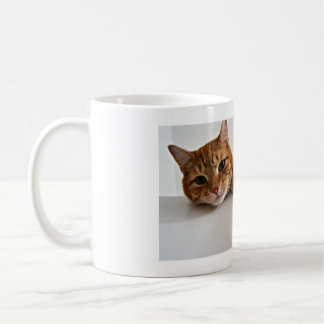 Katt Kaffemugg